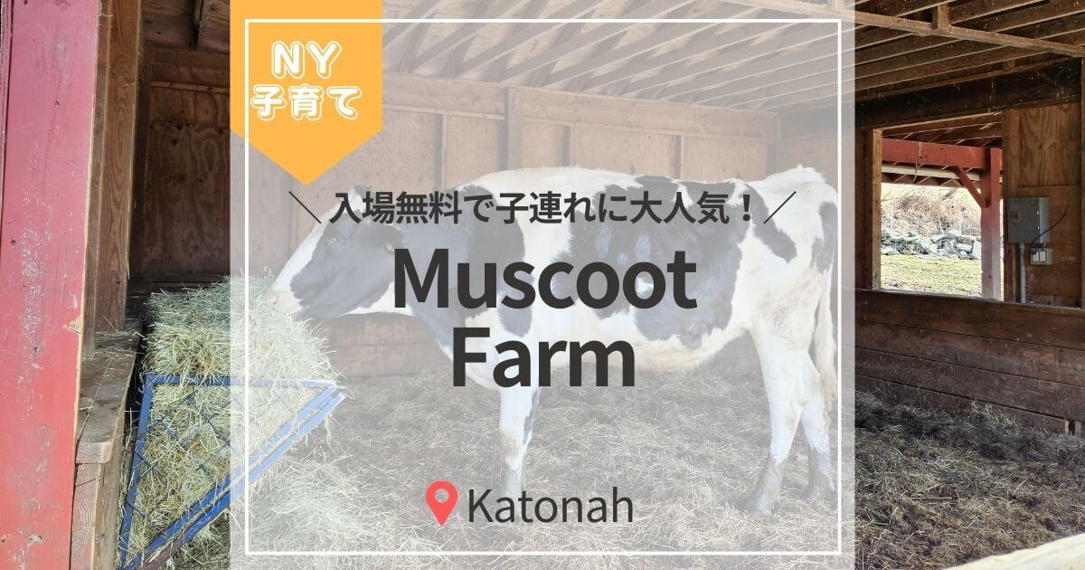 アイキャッチ（Muscoot Farm）